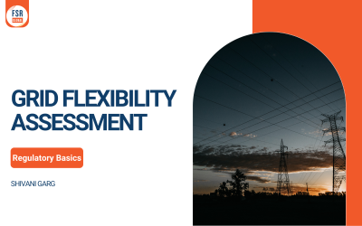 Grid Flexibility Assessment 