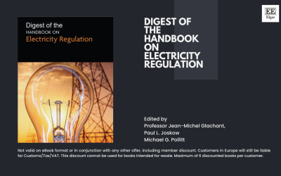 Digest of the Handbook on Electricity Regulation